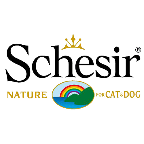 Schesir