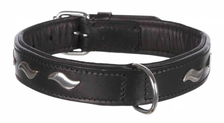 Нашийник Trixie Active S-M для собак, шкіра, 34-40 см х 22 мм, чорний